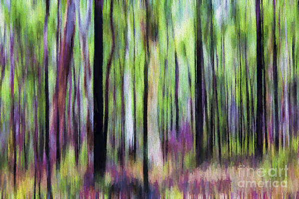 Abstract Art Print featuring the photograph Trees abstract by Sheila Smart Fine Art Photography