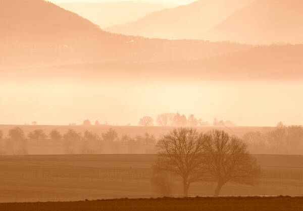 Tree Art Print featuring the photograph Trees and Hills by Miguel Winterpacht