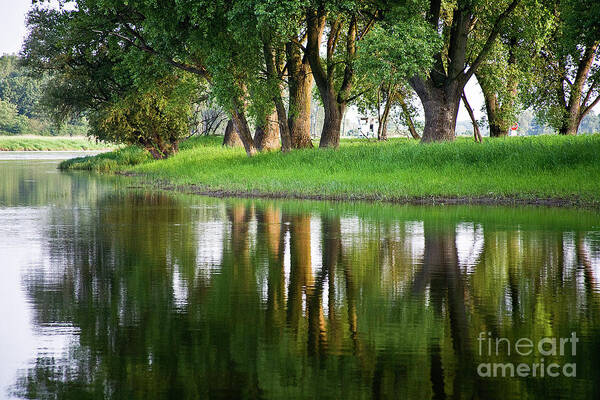 Water Art Print featuring the photograph Trees Reflection on the Lake by Heiko Koehrer-Wagner