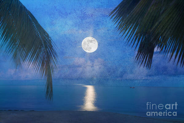 Seascape Art Print featuring the photograph Tropical Moonglow by Betty LaRue