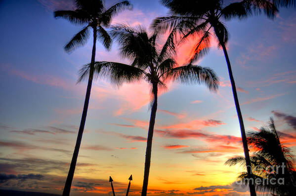Tropical Art Print featuring the photograph Tropical Sunset by Kelly Wade