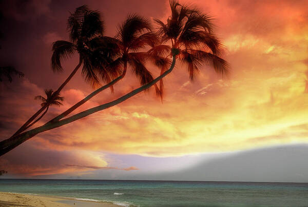 Water's Edge Art Print featuring the photograph Tropical Sunset by Lyle Leduc