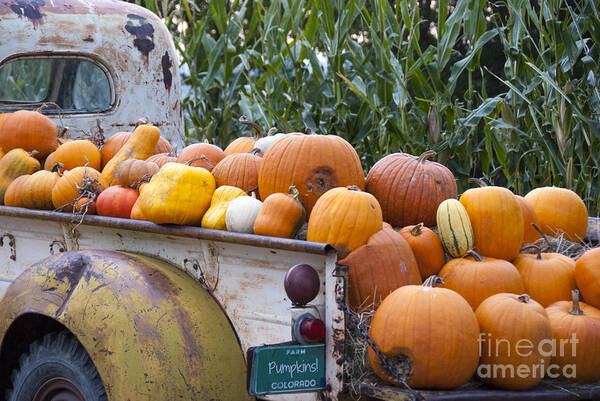 Agribusiness Art Print featuring the photograph Truck Full of Pumpkins by Juli Scalzi