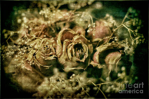 Roses Art Print featuring the photograph True Love Never Dies by Lois Bryan