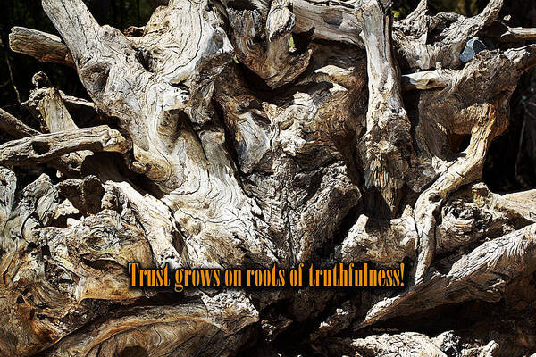 Roots Art Print featuring the photograph Truthfulness by Phyllis Denton