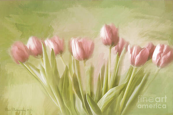 Tulips Art Print featuring the painting Tulip Bouquet by Linda Blair