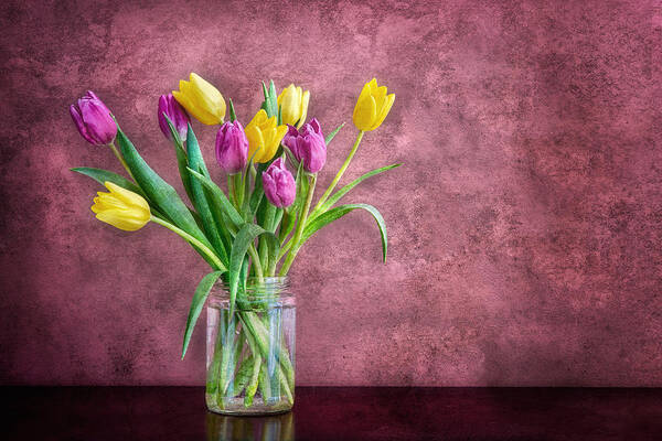 Flowers Art Print featuring the photograph Tulips by Darylann Leonard Photography