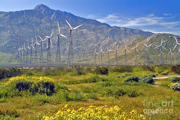 Turbine Art Print featuring the photograph Turbine Wind Farm San Gorgonio Pass Palm Springs CA by David Zanzinger