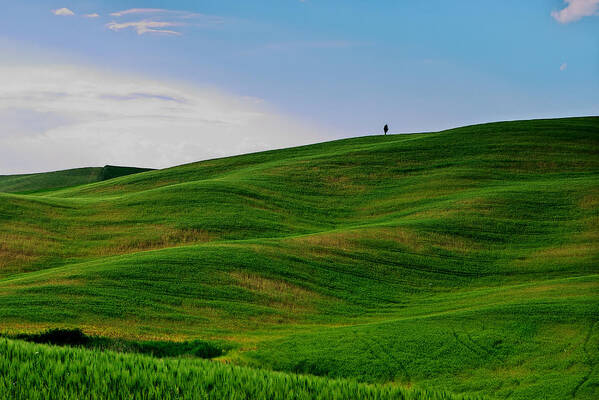 Spring Art Print featuring the photograph Tuscany waves by Ivan Slosar