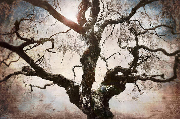 Old Gnarled Tree Art Print featuring the digital art Twisted Tree I by April Moen