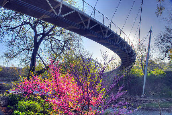 Upstate Sc Art Print featuring the photograph Underneath The Liberty Bridge in Downtown Greenville SC by Willie Harper