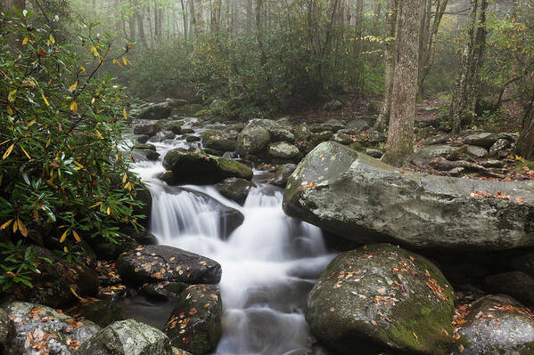 Tranquility Art Print featuring the photograph Usa, Tennessee, Smoky Mountains by Henryk Sadura