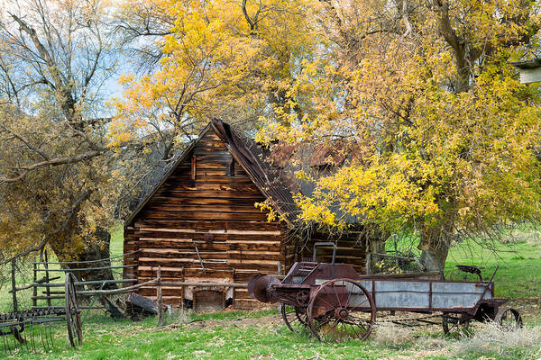 Log Cabins Art Print featuring the photograph Utah Homestead by Kathleen Bishop