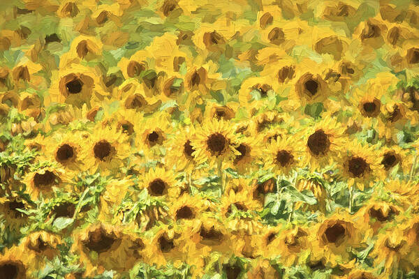 Sunflowers Art Print featuring the painting Van Gogh Sunflowers by David Letts