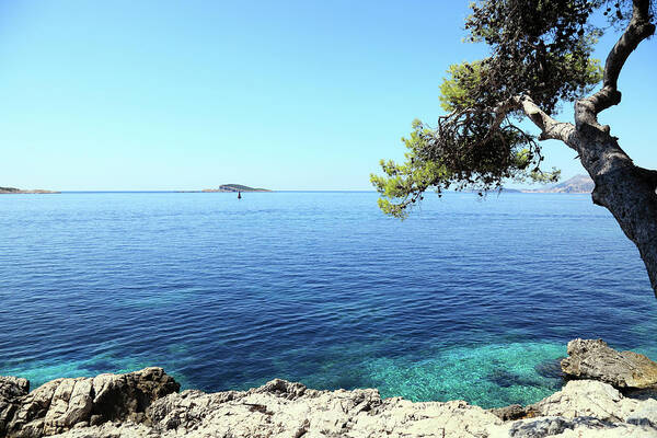 Water's Edge Art Print featuring the photograph View Of Dubrovnik From Cavtat Peninsula by Vuk8691