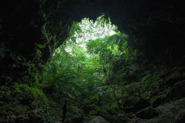 Tranquility Art Print featuring the photograph View Of Jungle From A Limestone Cave by Ippei Naoi