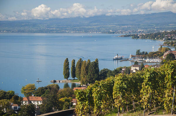Lutry Art Print featuring the photograph Vines over Lake Geneva by Rob Hemphill