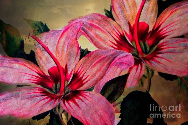 Lily Art Print featuring the photograph Vintage Painted Pink Lily by Judy Palkimas