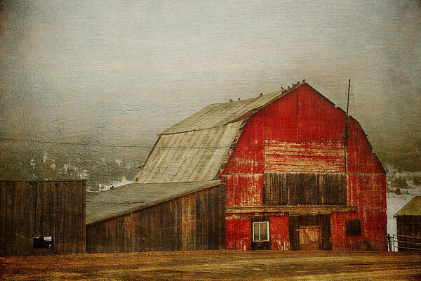 Barn Art Print featuring the photograph Vintage Red Barn by Theresa Tahara