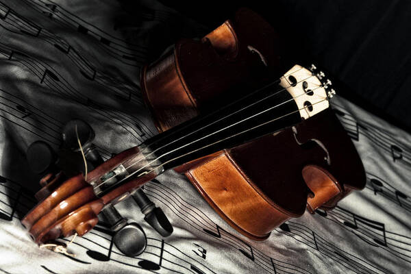 Music Art Print featuring the photograph Vintage violin by Mike Santis