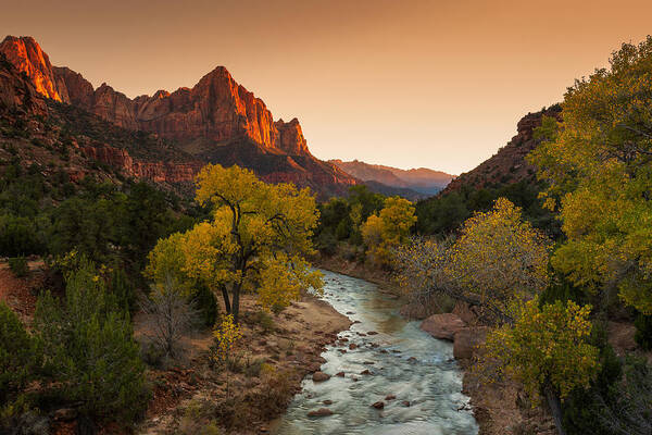 Zion National Park Art Print featuring the photograph Virgin River by Tassanee Angiolillo