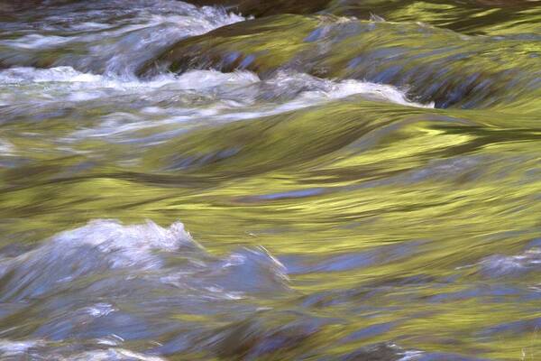 Utah Art Print featuring the photograph Virgin River Zion by David Patricia Beebe