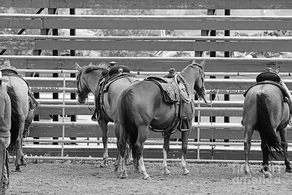 Horses Art Print featuring the photograph Waiting by Ann E Robson