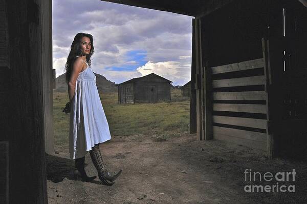 Barn Art Print featuring the photograph Waiting in the Barn by Sherry Davis