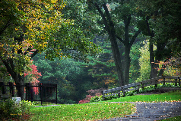 Fall Art Print featuring the photograph Walk in the Park by Christina Rollo