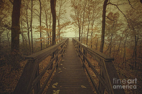 Observation Point Art Print featuring the photograph Walk into the Mist by Tim Wemple