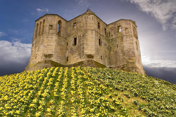 Northumberland Art Print featuring the photograph Warkworth Castle in the sky by David Head