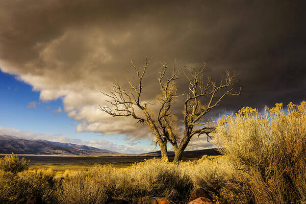 Landscape Art Print featuring the photograph Washoe Lake Conjuring by Janis Knight
