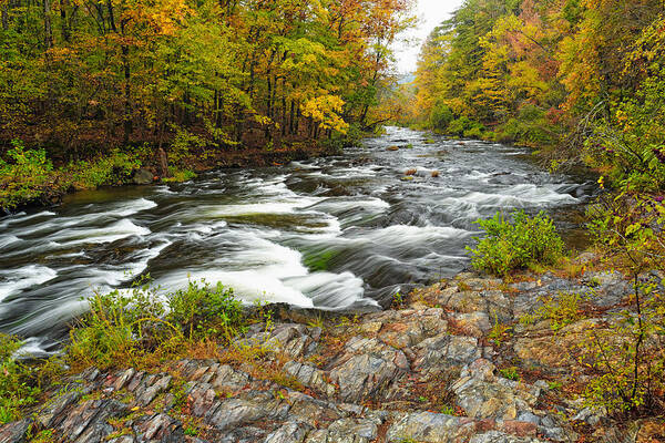Beaver's Bend State Park Art Print featuring the photograph Watching it all go by at Beaver's Bend Broken Bow Fall Foliage Oklahoma by Silvio Ligutti