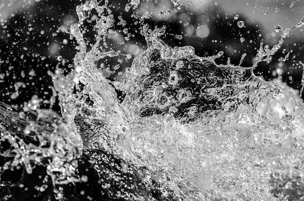 Water Art Print featuring the photograph Water Splash by JT Lewis