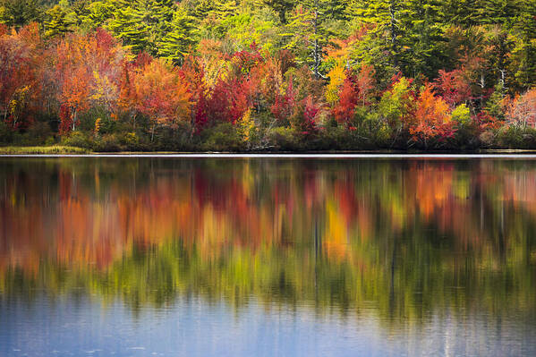 Fall Art Print featuring the photograph Watercolors by Kyle Wasielewski