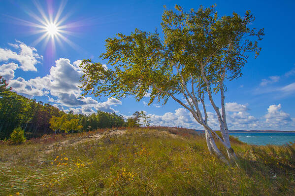 Autumn Art Print featuring the photograph October Sunshine By The Lake by Owen Weber