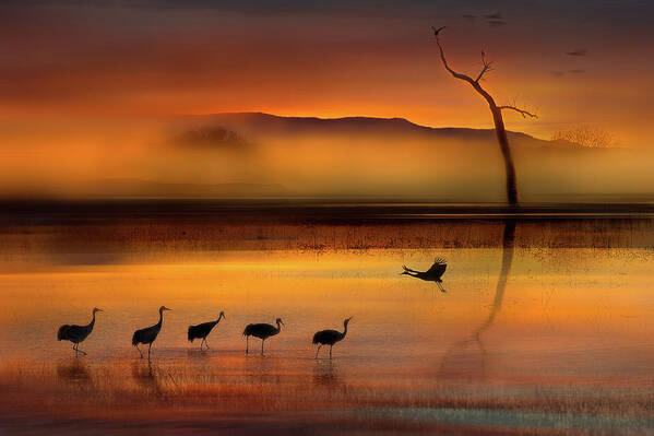 Lake Art Print featuring the photograph We Are Here Waiting For You by Shenshen Dou