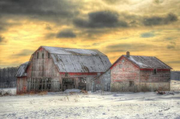 Barn Art Print featuring the photograph Weathered by Terri Gostola