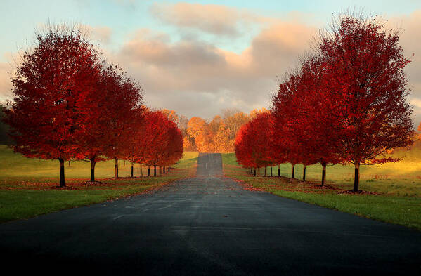 Autumn Art Print featuring the photograph Welcome Home by Rob Blair