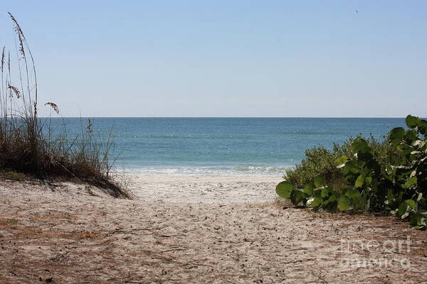 Beach Art Print featuring the photograph Welcome to the Beach by Carol Groenen