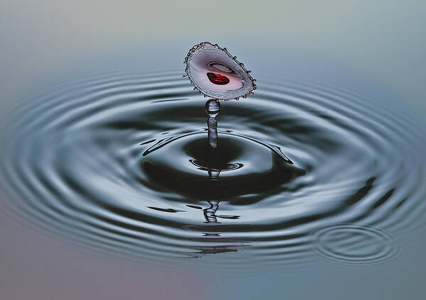 Water Art Print featuring the photograph Wet Lips by Susan Candelario