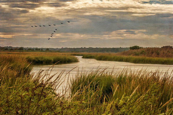 Marsh Art Print featuring the photograph Wetlands in September by Cathy Kovarik