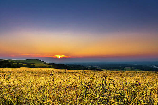 Scenics Art Print featuring the photograph Wheat Field by Rob Webb