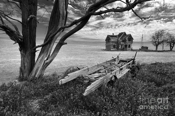 Dilapidated Art Print featuring the photograph Abandoned Old Farm House in Rural Oregon by Tom Schwabel