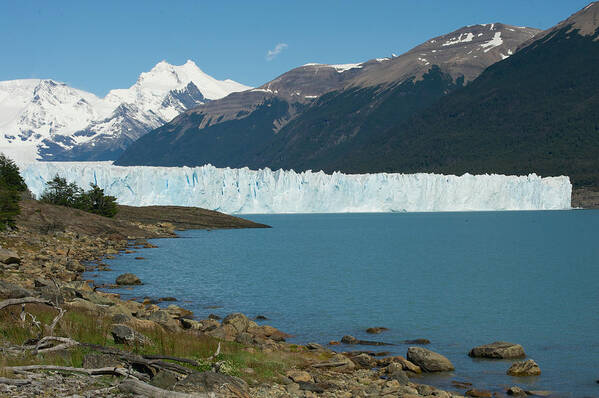 Patagonia Art Print featuring the photograph White Glacier by Richard Gehlbach