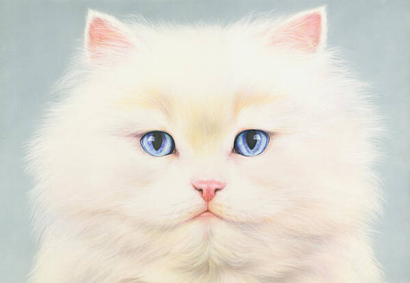 #faatoppicks Art Print featuring the photograph White Persian by MGL Meiklejohn Graphics Licensing