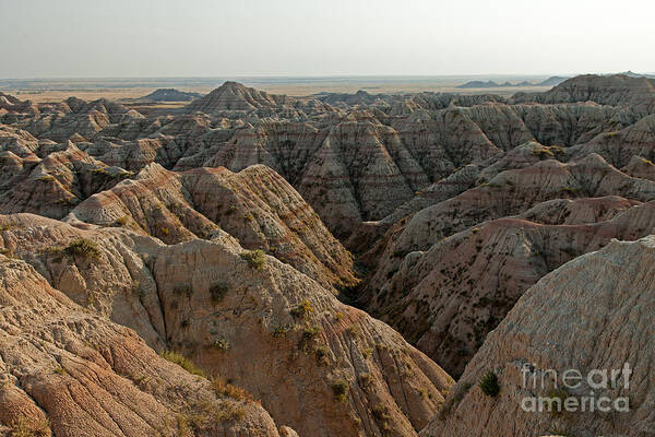 Afternoon Art Print featuring the photograph White River Valley Overlook Badlands National Park by Fred Stearns