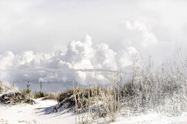 White Sands Art Print featuring the digital art White Sands Winter by Georgianne Giese