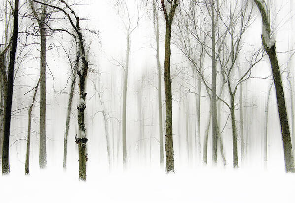 Winter Art Print featuring the photograph Whiter Shade of Pale by Jessica Jenney