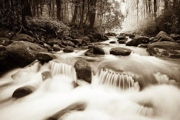 Scenics Art Print featuring the photograph Whitewater In The Smoky Mountains by Wbritten